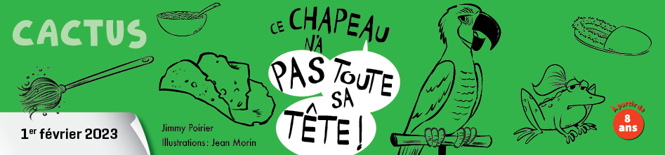 Ce chapeau n'a pas toute sa tête