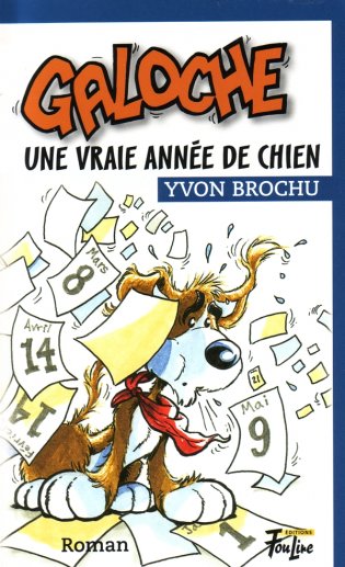 Galoche Galoche une vraie année de chien