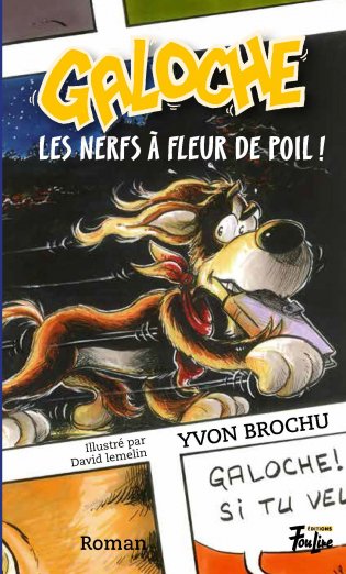 Galoche Galoche les nerfs à fleur de poil